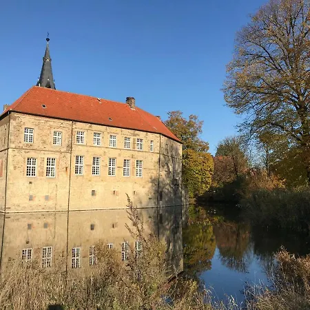 No. 11 3* Ludinghausen