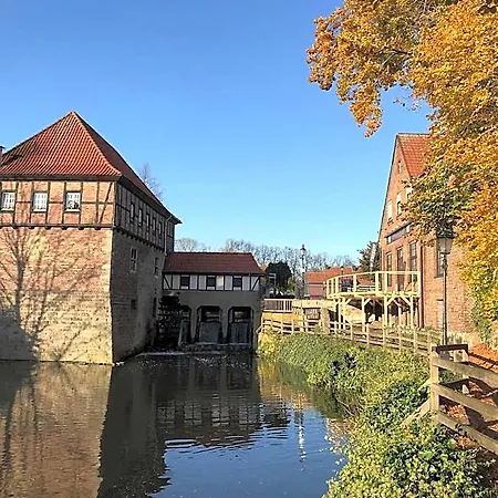 No. 11 3* Ludinghausen